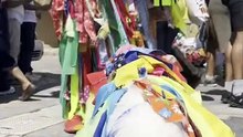 Perritos desfilan con trajes típicos de Oaxaca durante calenda en contra del maltrato animal