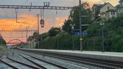 EuroNight 40465 Zürich HB - Zagreb Glavni Kol. (Durchfahrt Flawil SG)