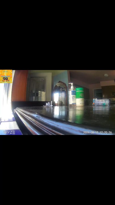 cctv footage of the earthquake 4.6