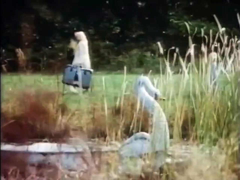 Flowers in the Attic – Blumen der Nacht | movie | 1987 | Official Trailer