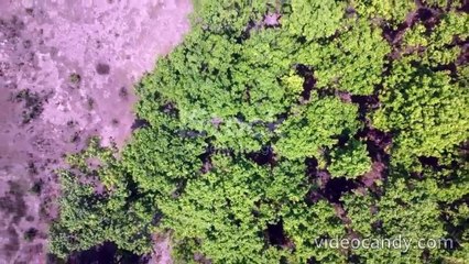 istockphoto-2156434287-640_adpp_is_merged