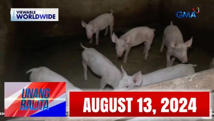 Unang Balita sa Unang Hirit: AUGUST 13, 2024 [HD]