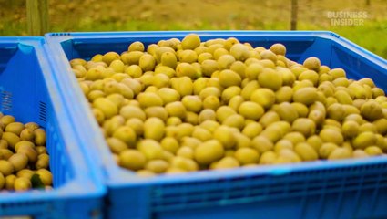 6 of the world's most smuggled foods