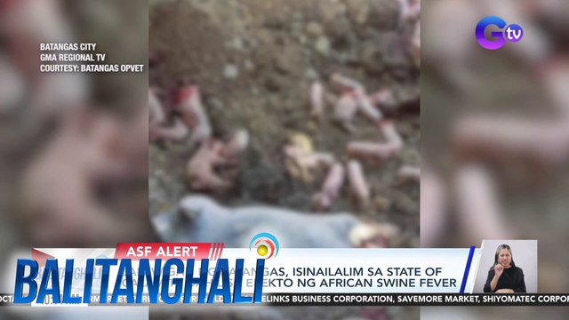 Lalawigan ng Batangas, isinailalim sa state of calamity dahil sa epekto ng ASF | Balitanghali