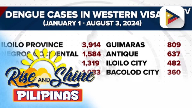 DOH - Western Visayas, pinagana na ang Regional Dengue Task Force