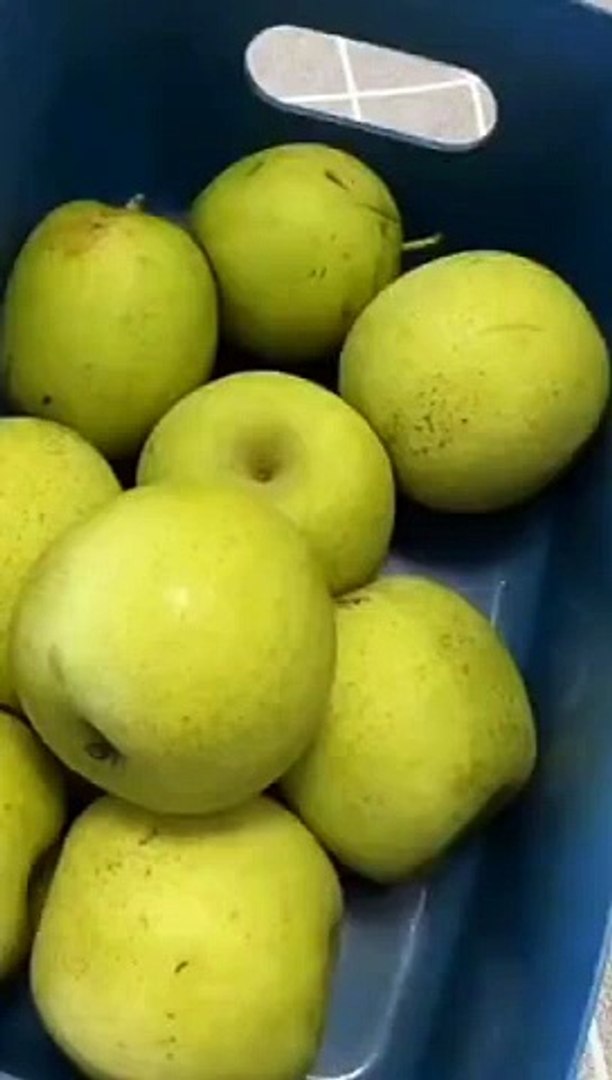 ⁣It's looks like a Apple| Viral Shorts| Apple to Chicks| Trending Video