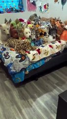 Mere Smajdar Bache #couplegoals #hcpk