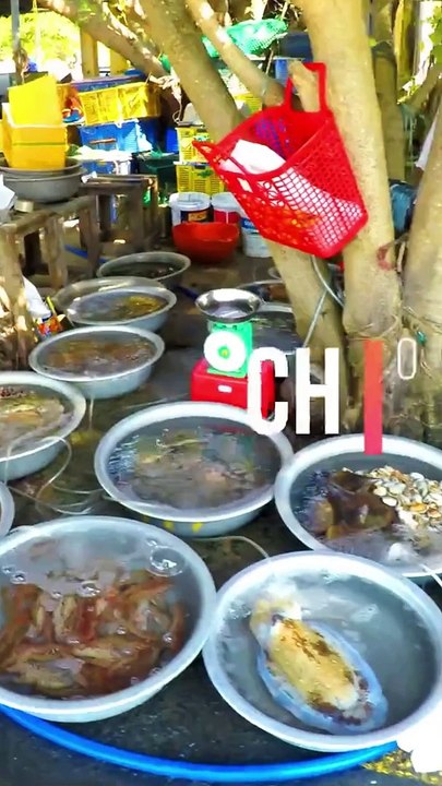 Welcome to Cham Island 