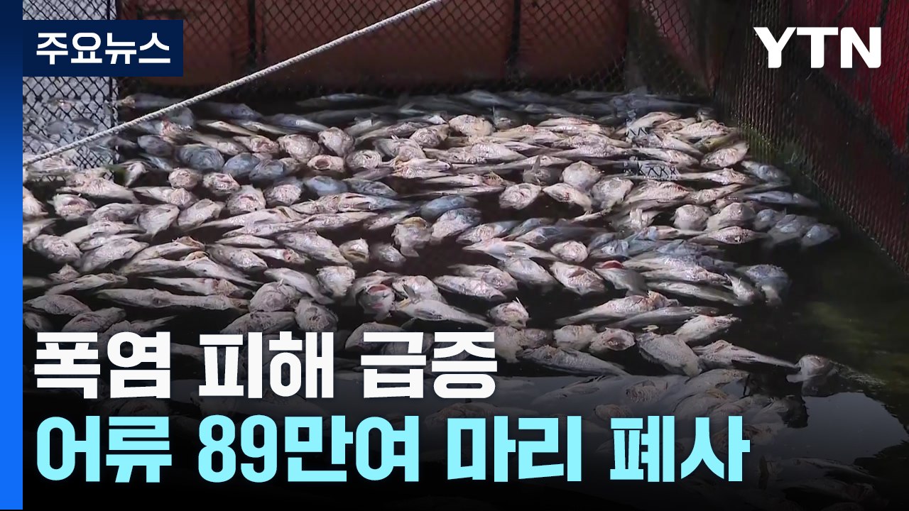 폭염에 양식장 집단 폐사...온열질환자 2,300명 육박 / YTN