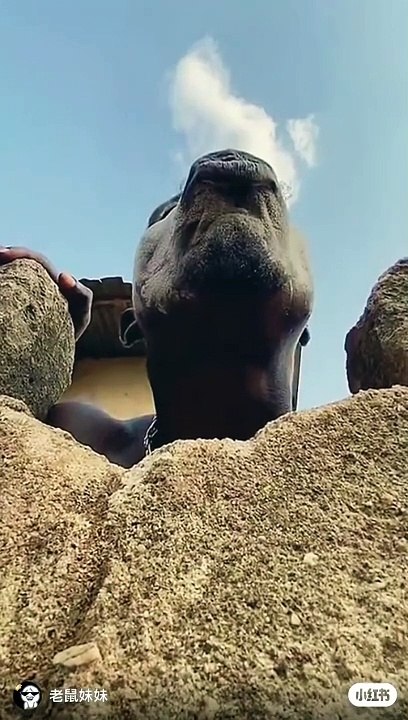 Anyone wanna kiss him