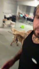 Φωτιά Αττική: η κίνηση ανθρωπιάς του Snik