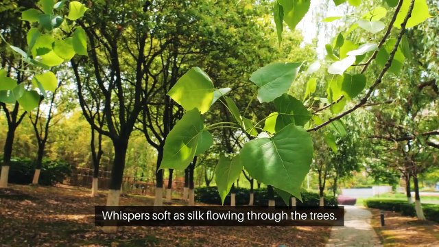 Night_of_Passion_and_Love #Music #CoverSong #LiveMusic #MusicVideo #PopMusic #HipHop #IndieMusic #EDM #MusicArtist #NewMusic