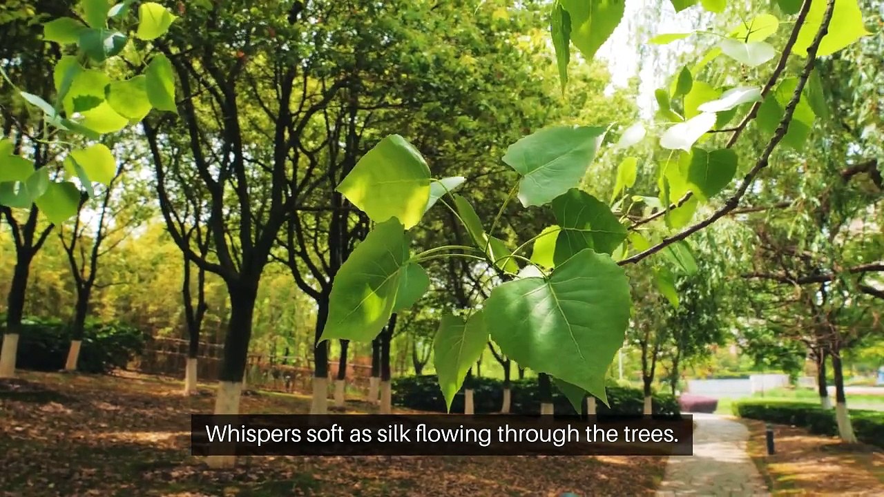 Night_of_Passion_and_Love #Music #CoverSong #LiveMusic #MusicVideo #PopMusic #HipHop #IndieMusic #EDM #MusicArtist #NewMusic