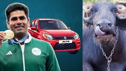 Pakistani Businessmen Announces Alto Car Gift To Arshad Nadeem, Buffalo From Father In Law, Troll