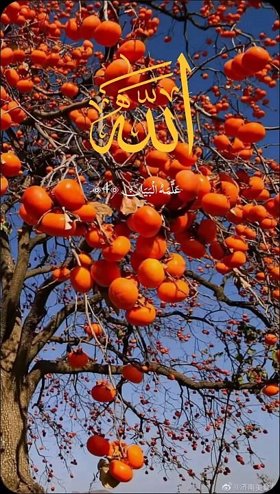 Islami short viral video | Islamic Trending reel