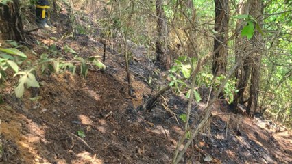 파주 야산서 불..."북한 오물풍선 기폭장치 터진 듯" / YTN