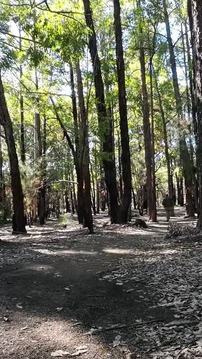 Western Australia Winter Walk 8