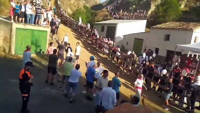 Emocionante y peligroso tercer Encierro del Pilón de Falces