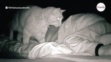 Vrouw plaatst een camera naast haar bed: de volgende ochtend wordt ze overspoeld door angst