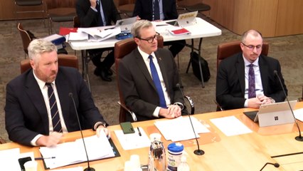 TasPorts and government both concerned over TT-Line's ability to manage Spirit of Tasmania port construction, inquiry told