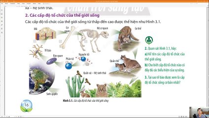 Audio_Sinh 10 Bài 3 Các cấp độ tổ chức của thế giới sống