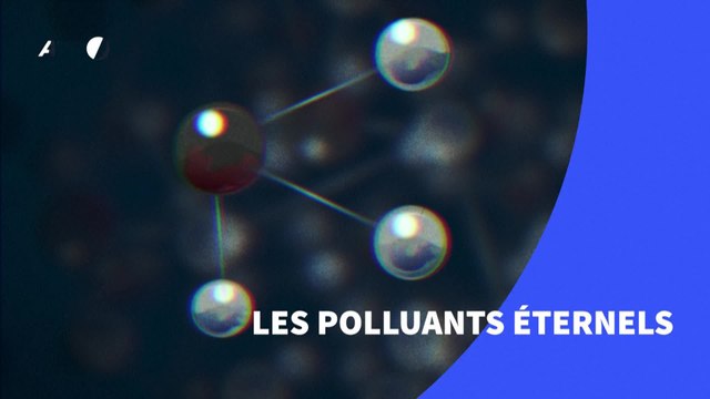 Les PFAS, ces polluants éternels omniprésents dans les produits du quotidien.