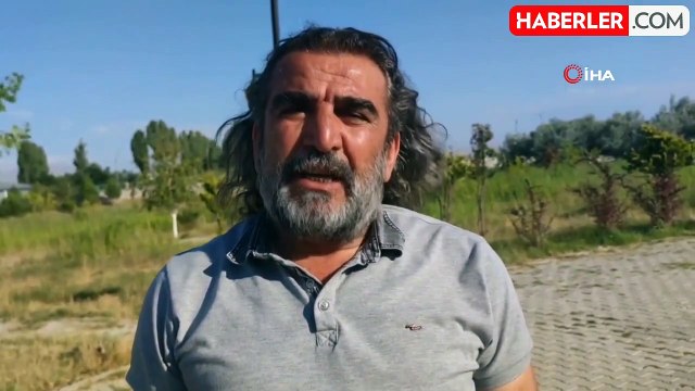 Tedavileri tamamlanan ve rehabilite edilen yaban hayvanlar doğaya salınmaya hazır