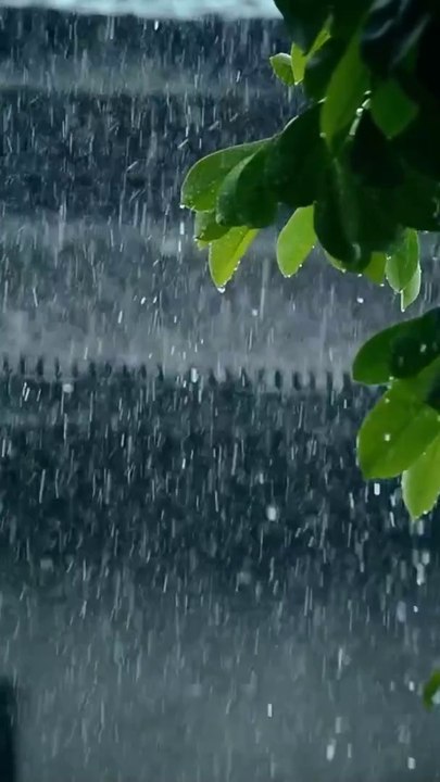 "The Magic of Rain: A Soothing Journey Through Nature" stands out as the best title. It captures the calming and enchanting essence of rain, while also suggesting that the video will take viewers on a peaceful and immersive experience.