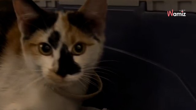 Hij rijdt een uur en hoort vreemde geluiden in motor: zijn bloed loopt koud als hij zich realiseert wat het is