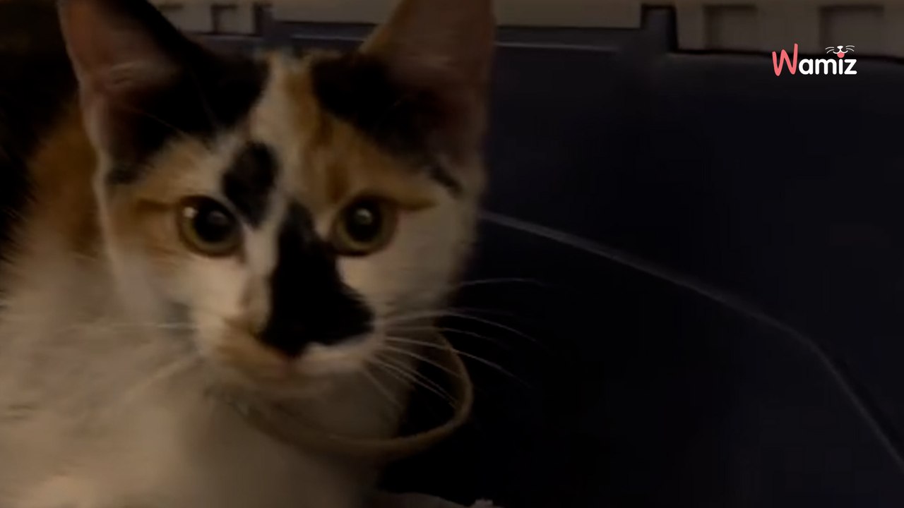 Hij rijdt een uur en hoort vreemde geluiden in motor: zijn bloed loopt koud als hij zich realiseert wat het is