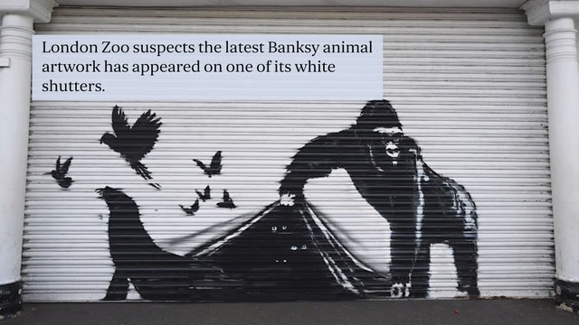 Suspected ninth Banksy animal artwork appears at London Zoo