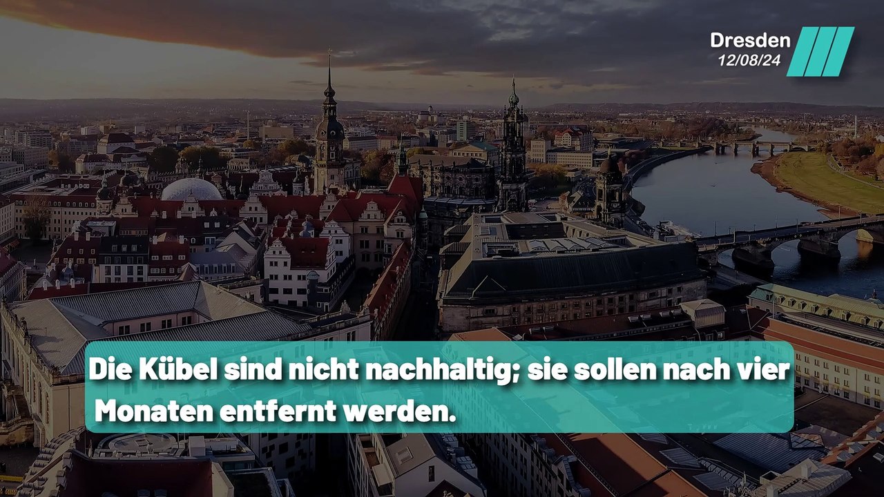 Holzkübel für Fußgänger kosten ein Vermögen! Erfahren Sie warum