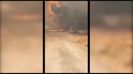 Incendi Grecia, nuovo ordine d'evacuazione per località vicino Atene