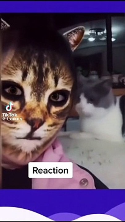 Car reaction 