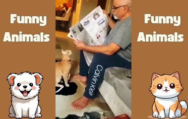 Cats and Dogs: A Compilation of Pure Comedy!