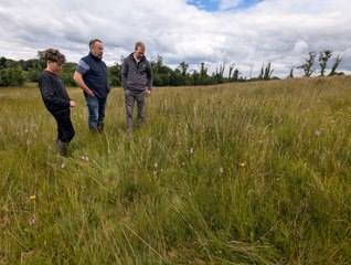 Brian McKeown's species-rich grassland, teeming with orchids and wildflowers