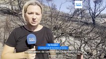 El devastador incendio en Grecia ha quemado más de 40.500 hectáreas en tres días