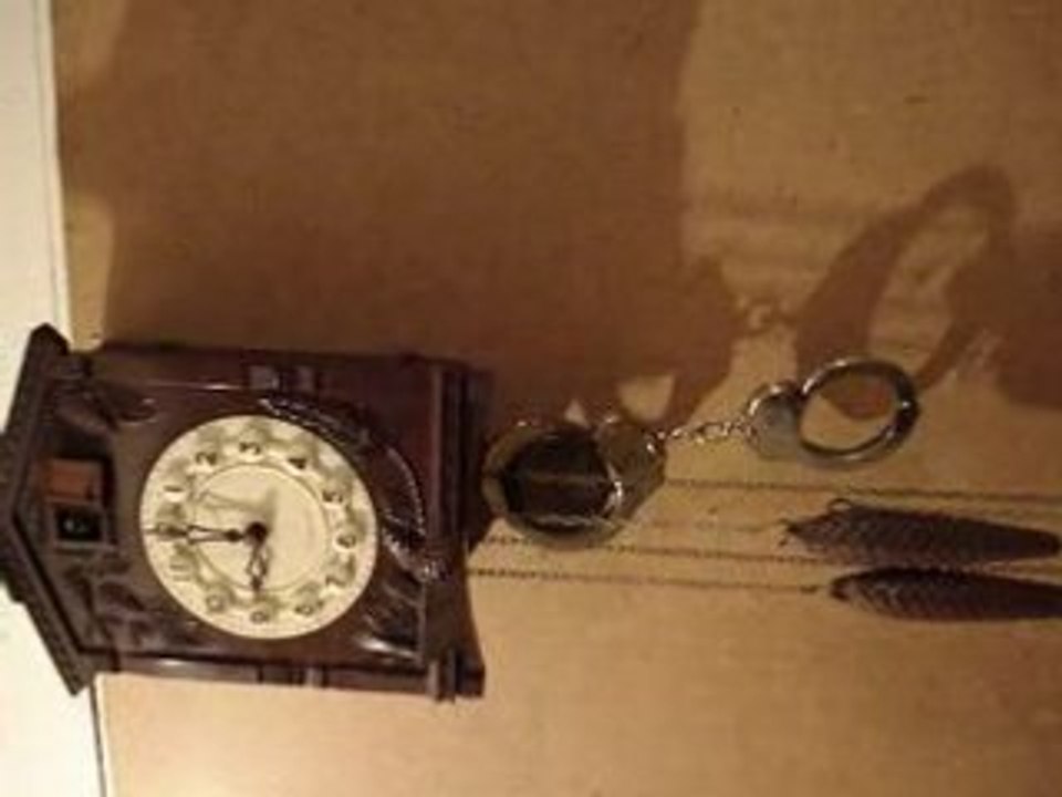 MOV04162