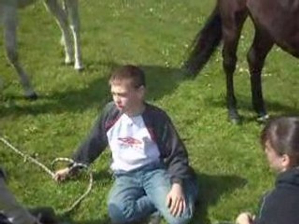 délires a saint brieuc equitation