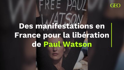 Des manifestations en France pour la libération de Paul Watson