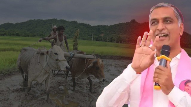 రుణమాఫీ కాలేదు..ఇవిగో ఆధారాలు.! టోల్ ఫ్రీ నంబర్ తో హరీష్ రావు సవాల్.! Oneindia Telugu