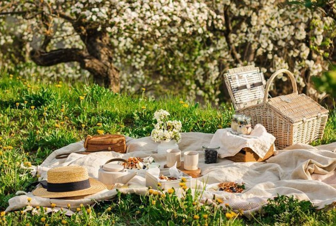 Orthographe : doit-on écrire « pique-nique », « pic-nique » ou « pic-nic » ?