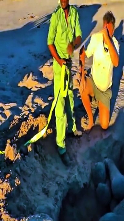 Sauvetage impressionnant d'un éléphant coincé