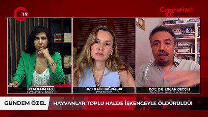 Hayvanlara yönelik işkence ve katliam! Sosyologlar değerlendirdi Nasıl bu hale geldik!