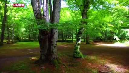 Doğal miras geleceğe aktarılıyor