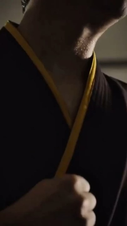est-ce que le combat imaginaire de Miguel dans cobra Kai saison trois est-il la finale du sekaï Taikai ?