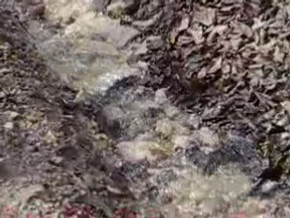 Ruisseaux à Fleurey