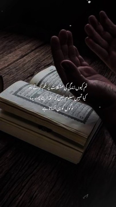 Beshak