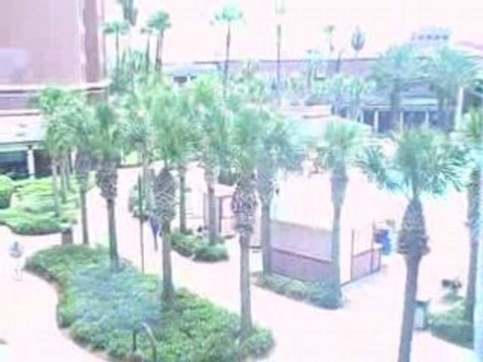 Agora Profits in Paradise