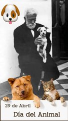 * Día del Animal en Argentina: Historia y Origen del 29 de Abril